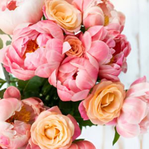 🌹Premium Petals – Elegance w/ Extras🌹